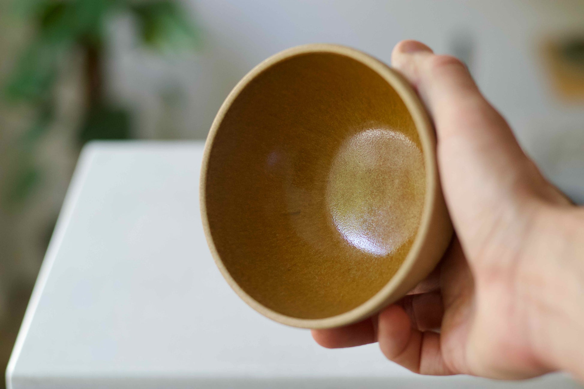 Hand holding a brown ceramic bowl with a blurred background